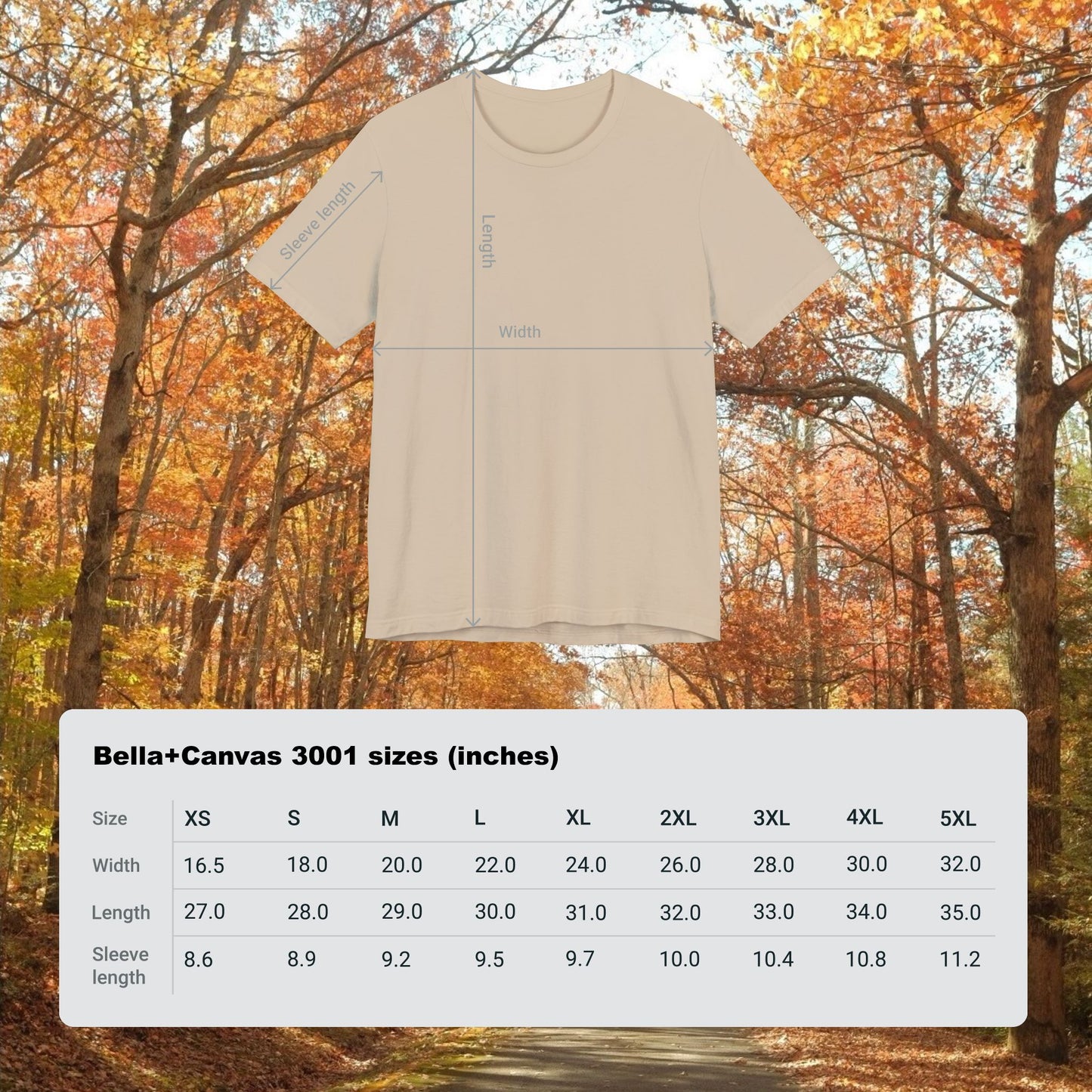 In The Woods Graphic Tee - Bella