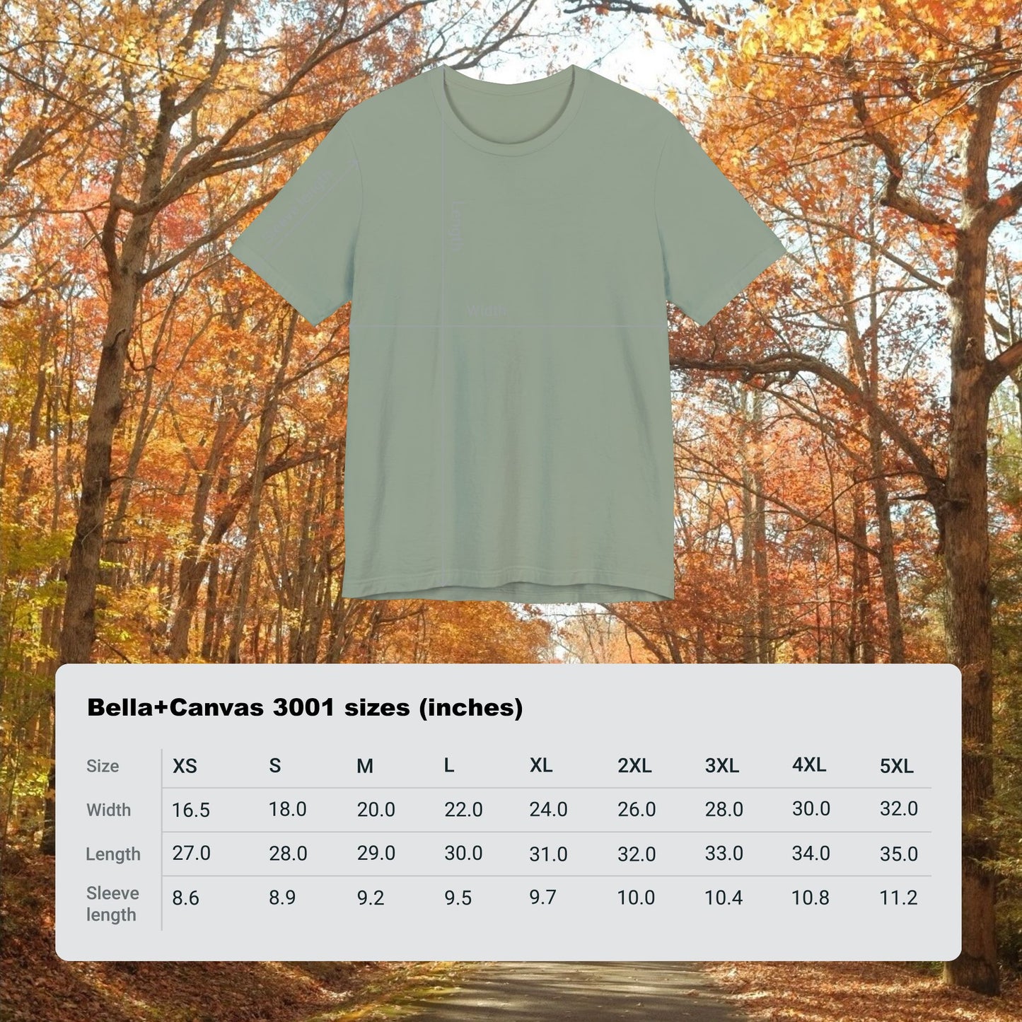 In The Woods Graphic Tee - Bella