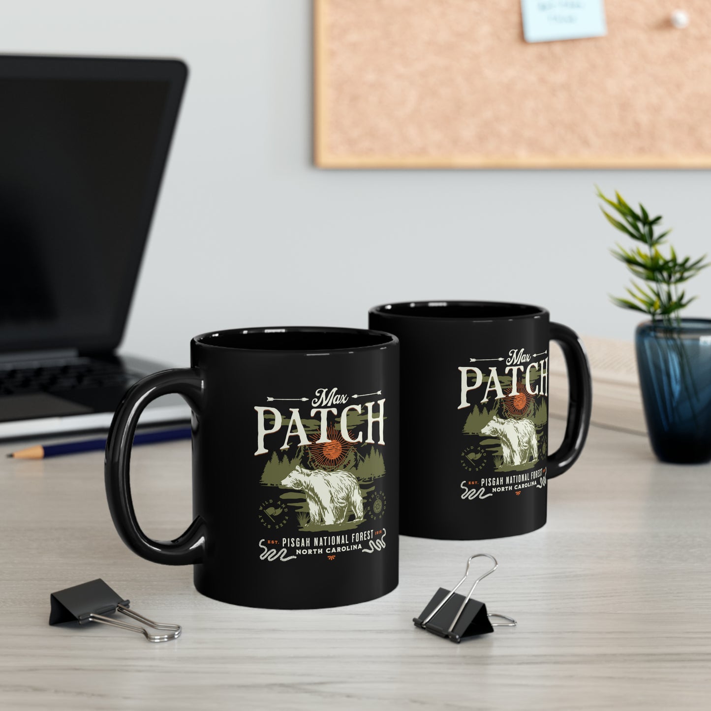 Pisgah Forest Mug