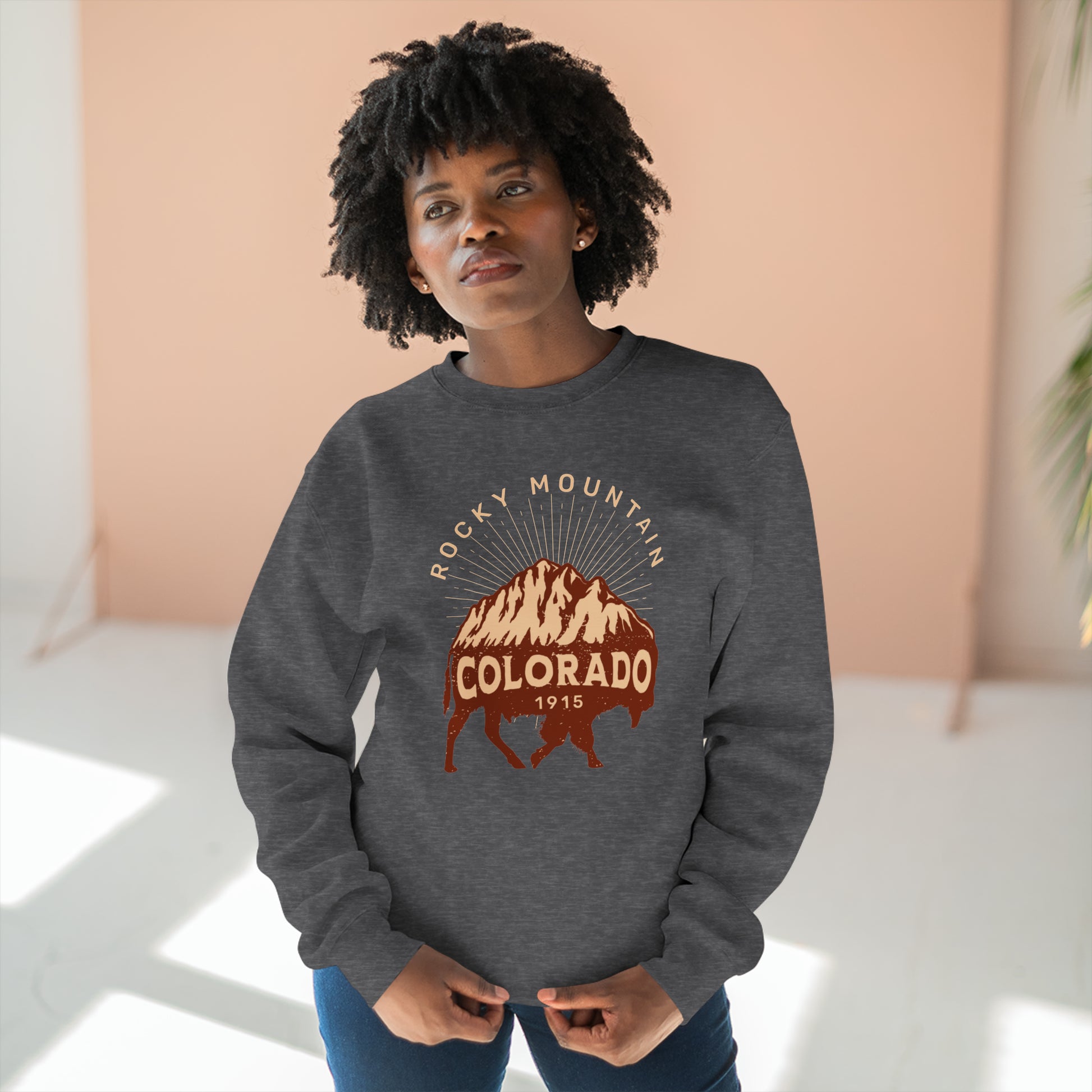 Rocky Mountains Sweatshirt - Max Patch Co.